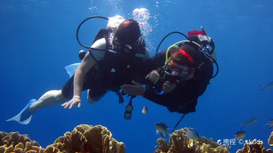 Aquatic Safaris SCUBA Center