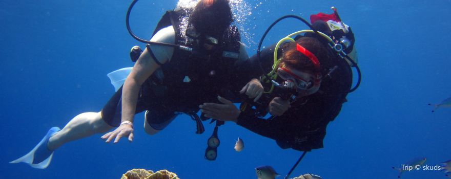 VIP Diving