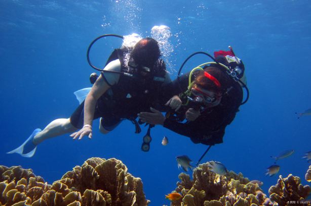 VIP Diving