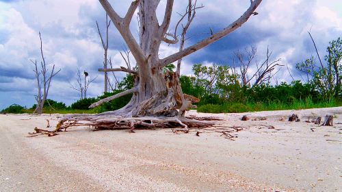 Gulf State Park