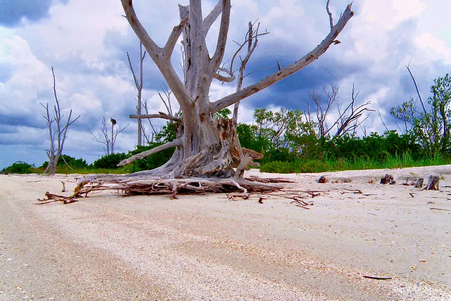 Gulf State Park