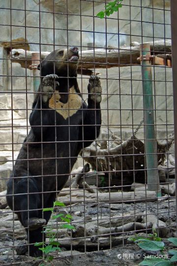 ${{cityDName}} to Bloomington Flights