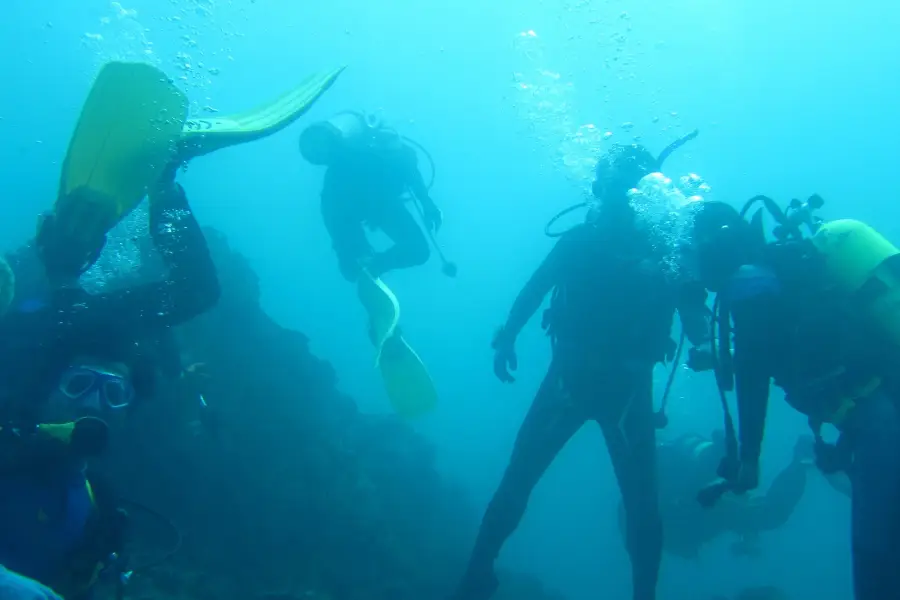 Andrómeda Divers