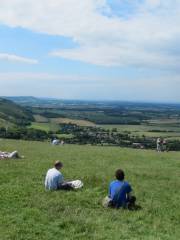 National Trust - Cissbury Ring