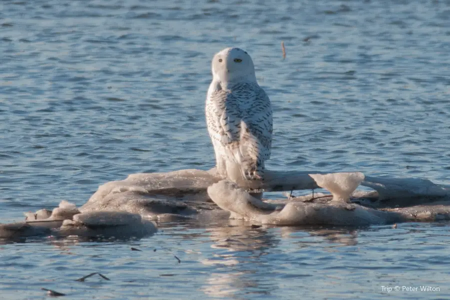 Salisbury Beach State Reservation