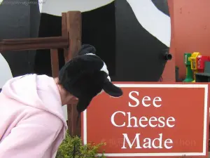 Ashe County Cheese Factory and Store