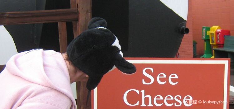 Ashe County Cheese