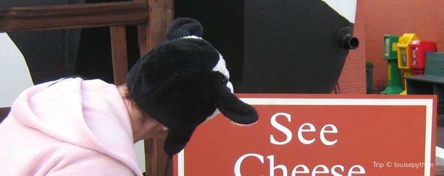 Ashe County Cheese