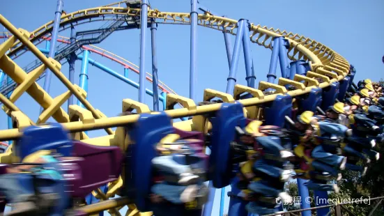 Six Flags México