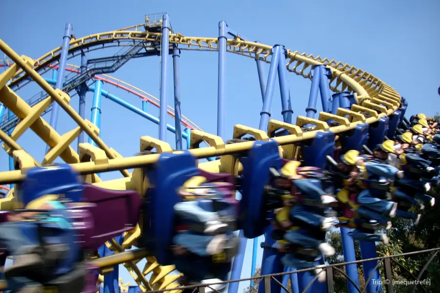 Six Flags México