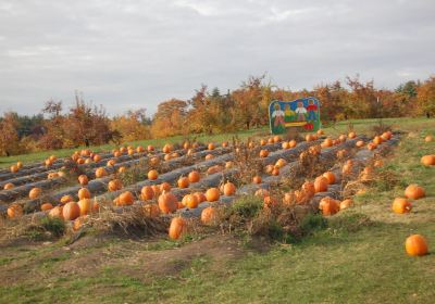 Shelburne Farms