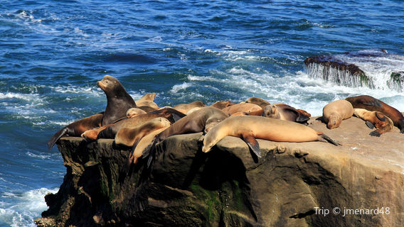 Ellen Browning Scripps Park