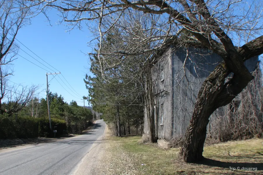 Harrington House Historic Home