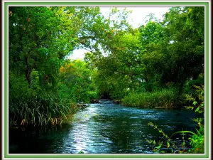 Landa Park