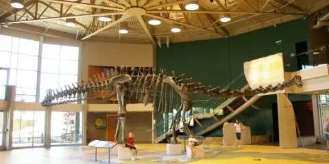 Utah Field House of Natural History State Park