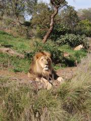 普利托里亞動物園