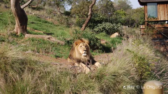 普利托裡亞動物園