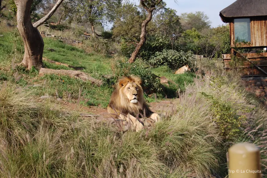 Jardín zoológico nacional de Sudáfrica