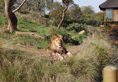 普利托裡亞動物園