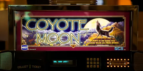 Coyote Moon Golf Course