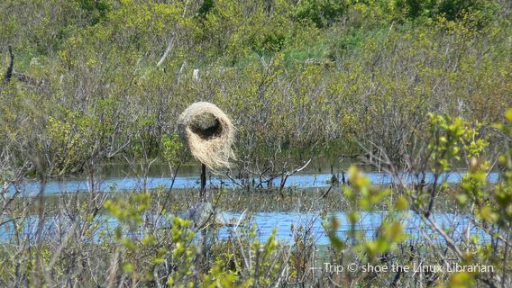Presque Isle State Park