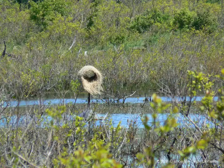 Hotel Days Inn a Millcreek Township