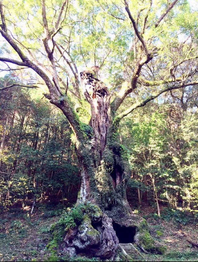 武雄市文化会館庭園 (旧武雄鍋島家庭園)