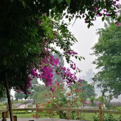 You Ji Fat Intestines and Local Chuan Cuisine User Photo