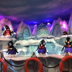 Emperor Penguin All Day Dining User Photo