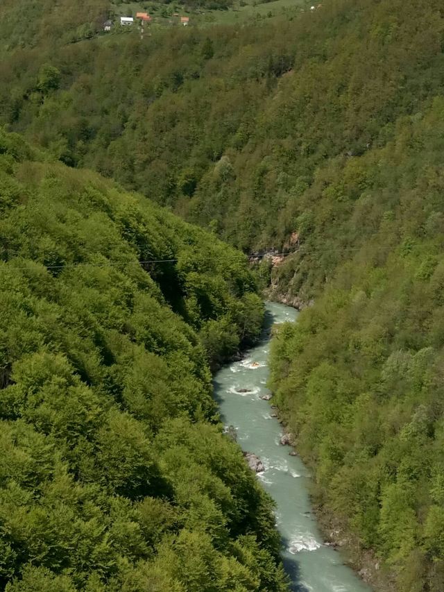 塔拉河大橋