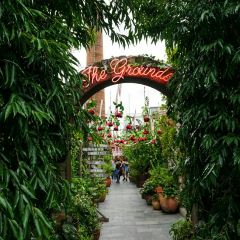 The Grounds of Alexandria User Photo