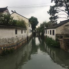 Song helou User Photo