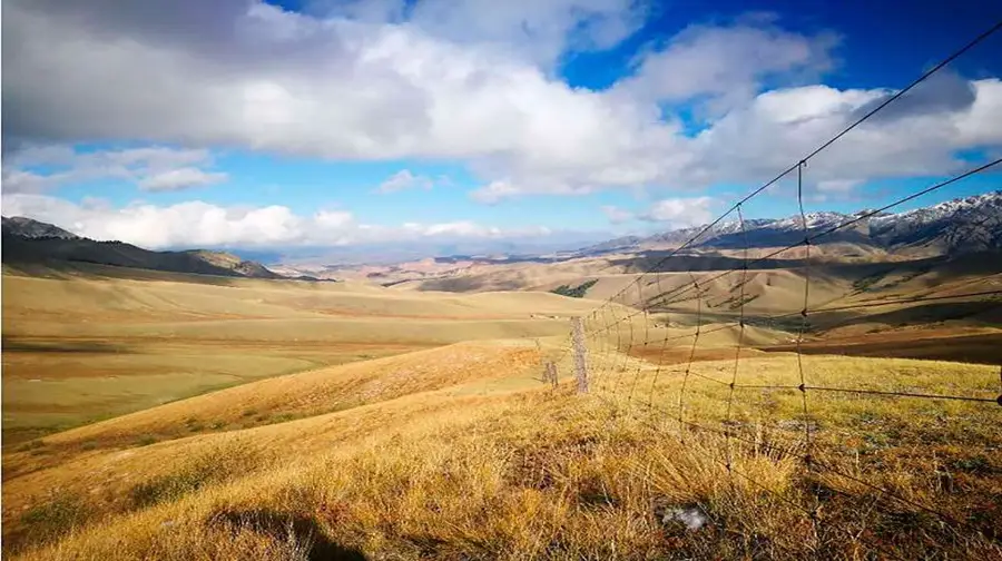 Qiaoya Meadow