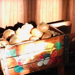 Hambaguoniontosu張用戶圖片