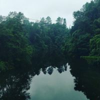 評論圖片 2