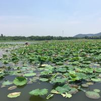 評論圖片 5