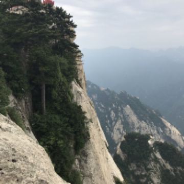 評論圖片 6