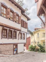 Ancient Plovdiv Municipal Institute