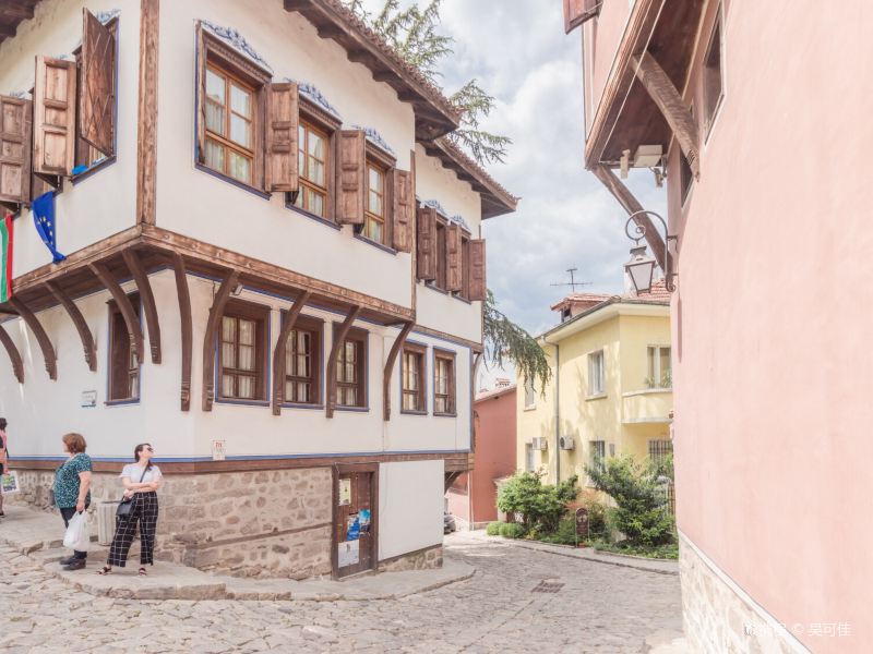 Municipal Institute "Ancient Plovdiv"