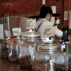 Cafe Bar 26 여행 사진