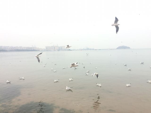 Zhanqiao Pier