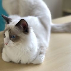 水中仙东方会馆 User Photo