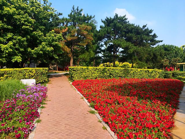 오리허공원
