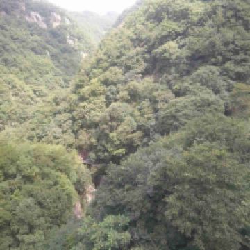 評論圖片 2