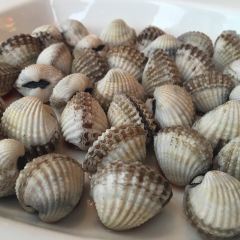 New Shipu Restaurant User Photo