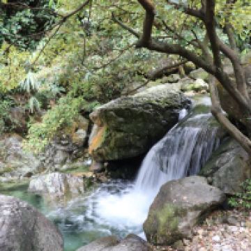 評論圖片 8
