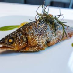 Edition Koji Shimomura User Photo