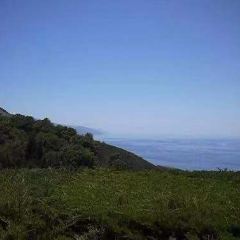 Nepenthe User Photo