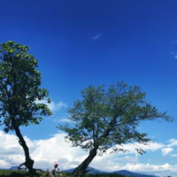 評論圖片 2