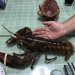 老地方海鲜啤酒屋(总店) User Photo
